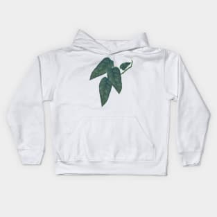 Pothos Cebu Blue Leaf Kids Hoodie